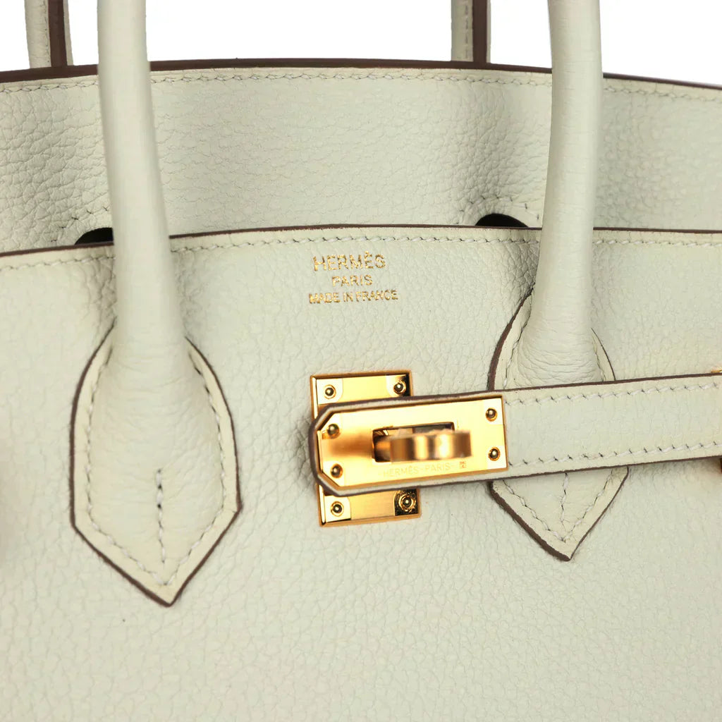Hermes Birkin Leather Gold Handbag Bag for Women (White Matt)